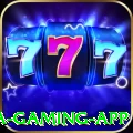 73m Mega Gaming App
