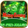 contavip Pro Brasil
